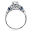The Halcyon Ring, smallside view