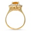 The Olia Ring, smallside view