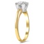 The Jennine Ring, smalltop view on a hand