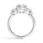 Cat-Inspired Diamond Ring, smallview