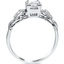 The Aledda Ring, smallside view