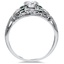 The Portland Ring, smallside view