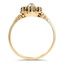 The Moorpark Ring, smallside view