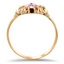 The Morley Ring, smallside view