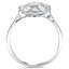 The Aeryn Ring, smallside view