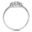 The Lealu Ring, smallside view