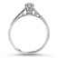 The Rosalyn Ring, smallside view