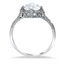 The Catharine Ring, smallside view