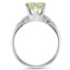 The Yvonne Ring, smallside view