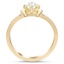 The Aniak Ring, smallside view