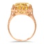 The Bingham Ring, smallside view