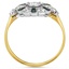 The Austria Ring, smallside view