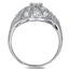 The Rochelle Ring, smallside view