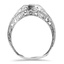 The Kerrigan Ring, smallside view
