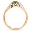 The Provo Ring, smallside view