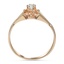 The Sandie Ring, smallside view