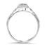 The Adams Ring, smallside view
