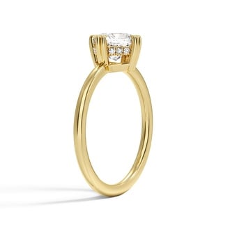Custom Double Claw Prong Hidden Halo Ring