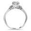The Boykin Ring, smallside view