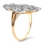 The Dalwyn Ring, smallside view