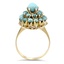 The Joslyn Ring, smallside view