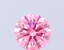 0.95 Ct. Fancy Vivid Pink Round Lab Grown Diamond