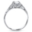 The Harmon Ring, smallside view