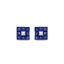 The Panna Earrings