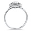 The Harmonie Ring, smallside view