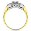 The Famke Ring, smallside view
