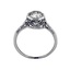 The Poplar Ring, smallside view