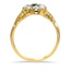 The Cierra Ring, smallside view