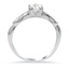 The Ivelisse Ring, smallside view