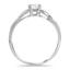 The Zelba Ring, smallside view