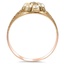 The Portleta Ring, smallside view