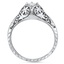 The Georgia Ring, smallside view
