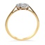 The Laelia Ring, smallside view