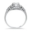 The Vanetta Ring, smallside view