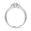 The Agna Ring, smallside view