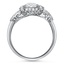 The Macy Ring, smallside view
