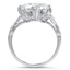 The Plymouth Ring, smallside view