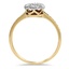 The Amesti Ring, smallside view
