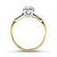 The Norman Ring, smallside view