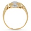 The Cosetta Ring, smallside view