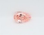 2.08 Ct. Fancy Vivid Pink Pear Lab Grown Diamond