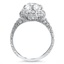 The Castillian Ring, smallside view