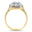 The Susannah Ring, smallside view