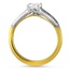 The Panora Ring, smallside view