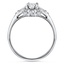 The Marley Ring, smallside view