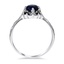 The Aris Ring, smallside view